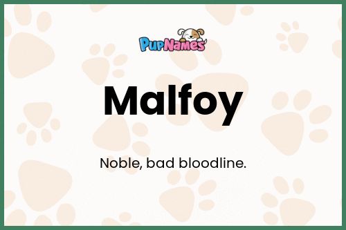 Malfoy dog name meaning