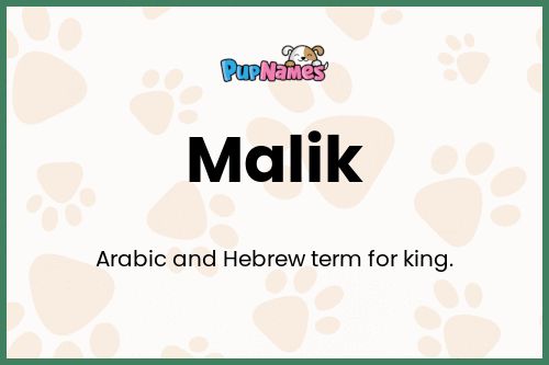Malik dog name meaning