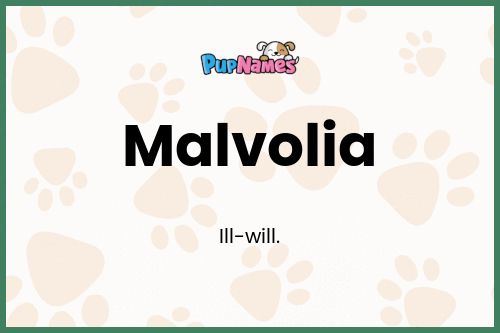 Malvolia dog name meaning