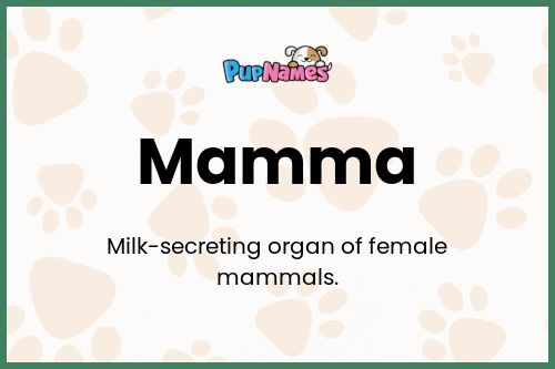 Mamma dog name meaning