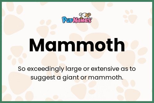 Mammoth dog name meaning