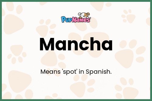 Mancha dog name meaning