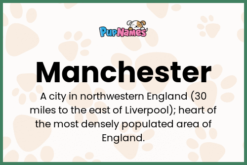 Manchester dog name meaning