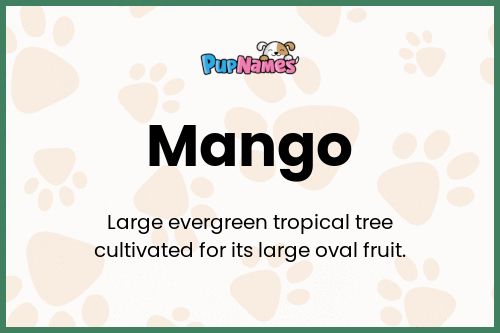 Mango dog name meaning