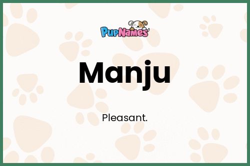 Manju dog name meaning