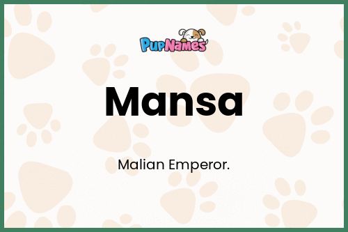 Mansa dog name meaning