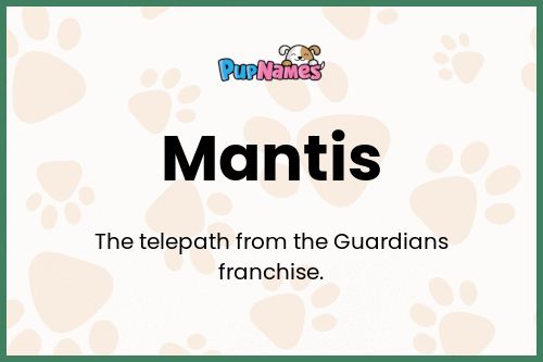 Mantis dog name meaning