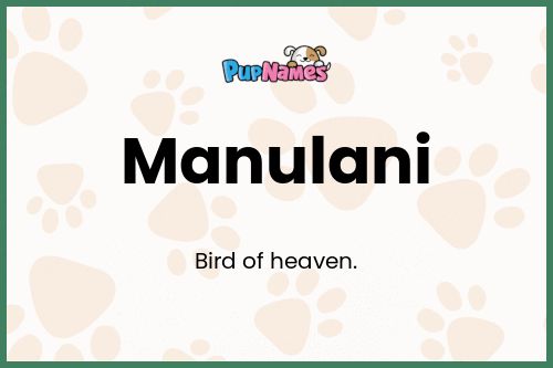 Manulani dog name meaning