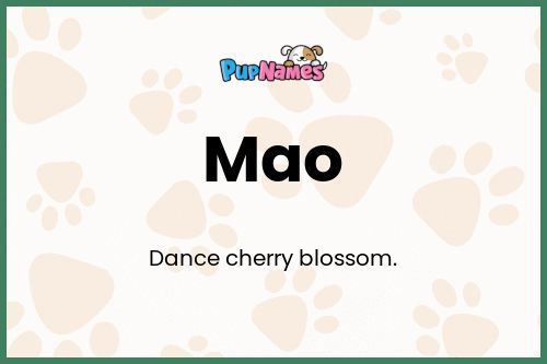 Mao dog name meaning