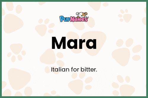 Mara dog name meaning