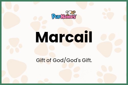 Marcail dog name meaning