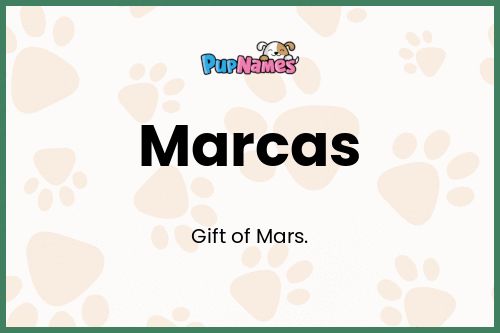 Marcas dog name meaning