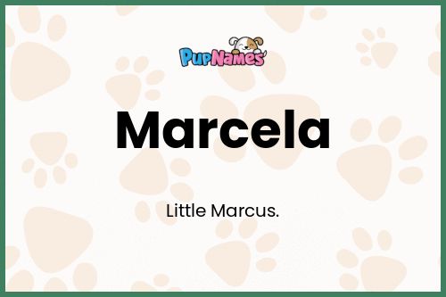 Marcela dog name meaning