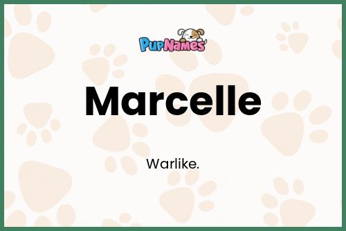 Marcelle dog name meaning