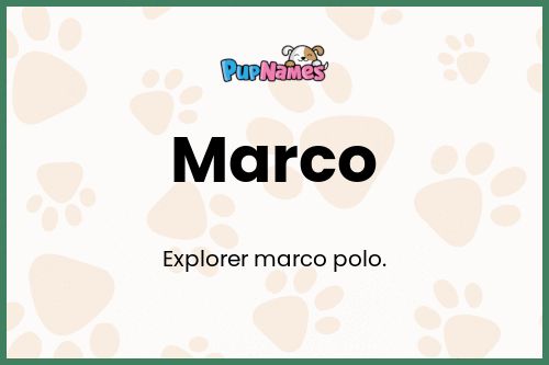 Marco dog name meaning