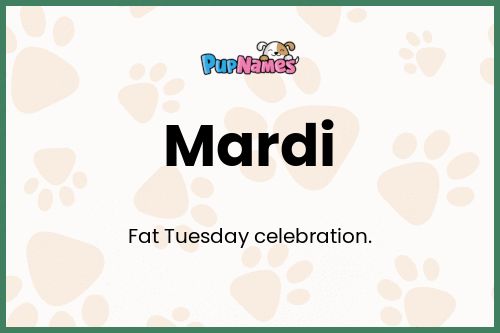 Mardi dog name meaning