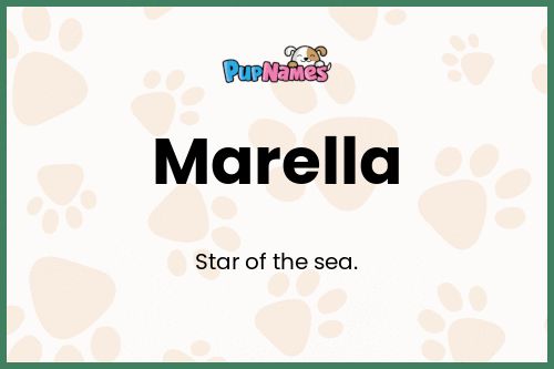 Marella dog name meaning