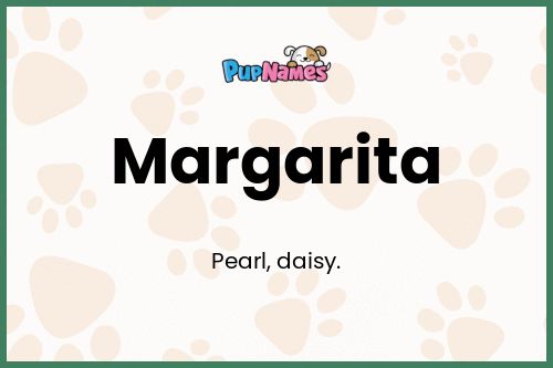 Margarita dog name meaning