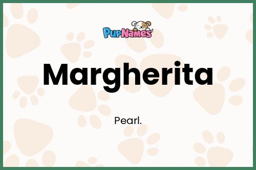 Margherita dog name meaning