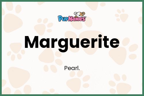 Marguerite dog name meaning