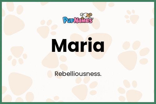 Maria dog name meaning