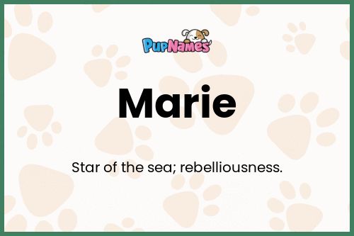 Marie dog name meaning