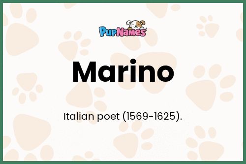 Marino dog name meaning