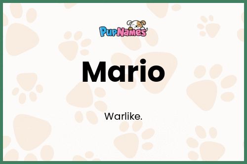 Mario dog name meaning