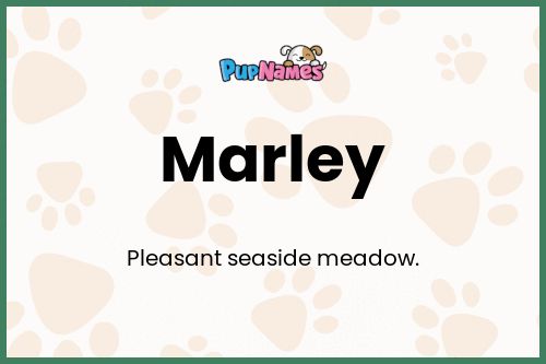 Marley dog name meaning