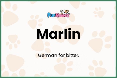Marlin dog name meaning