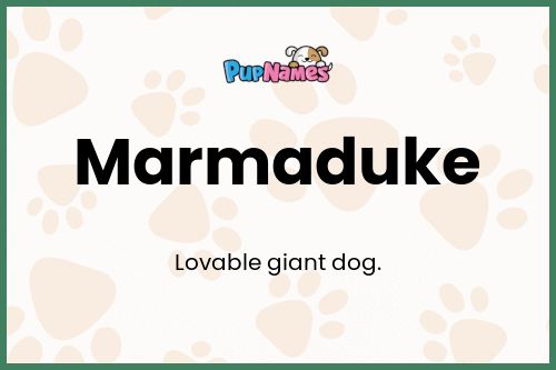 Marmaduke dog name meaning