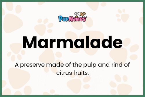 Marmalade dog name meaning