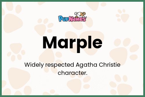 Marple dog name meaning