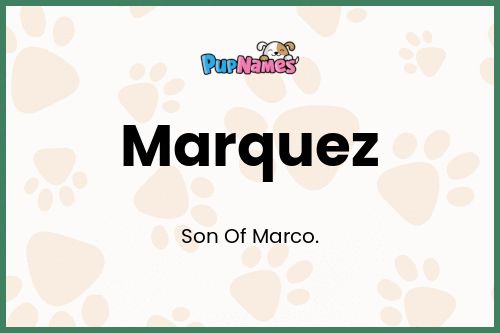 Marquez dog name meaning