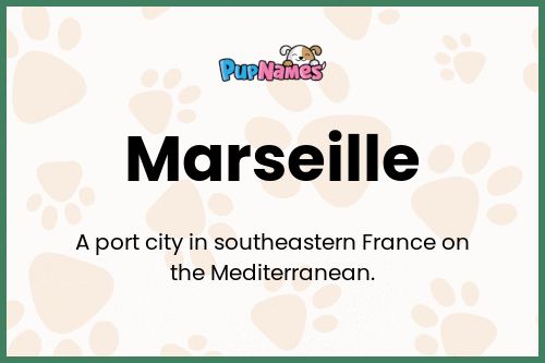 Marseille dog name meaning