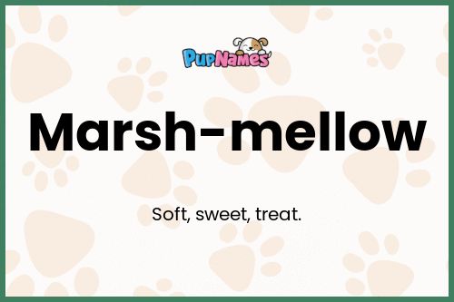 Marsh-mellow dog name meaning