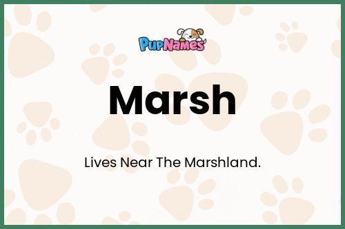 Marsh dog name meaning