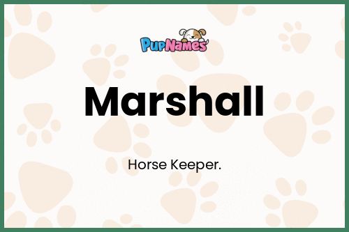 Marshall dog name meaning