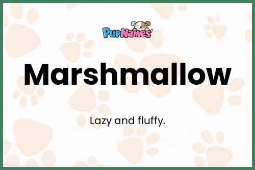 Marshmallow dog name meaning