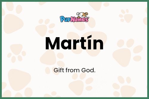 Martin dog name meaning