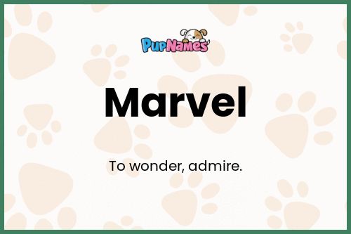 Marvel dog name meaning