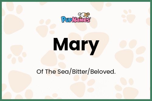 Mary dog name meaning