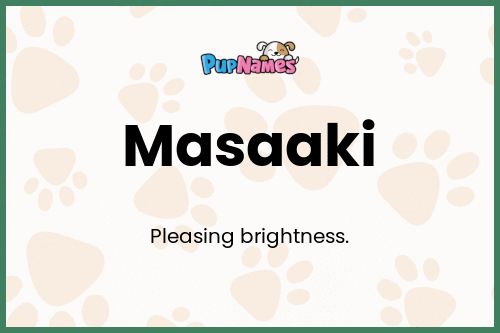 Masaaki dog name meaning