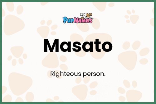 Masato dog name meaning