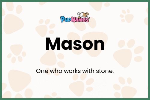 Mason dog name meaning