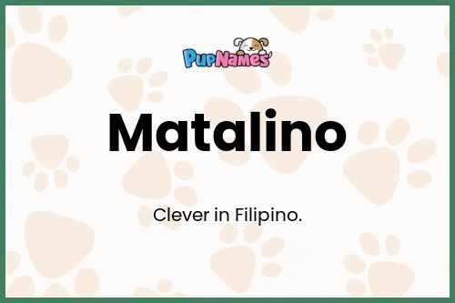 Matalino dog name meaning