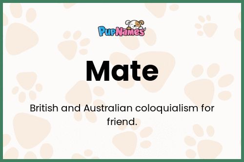 Mate dog name meaning