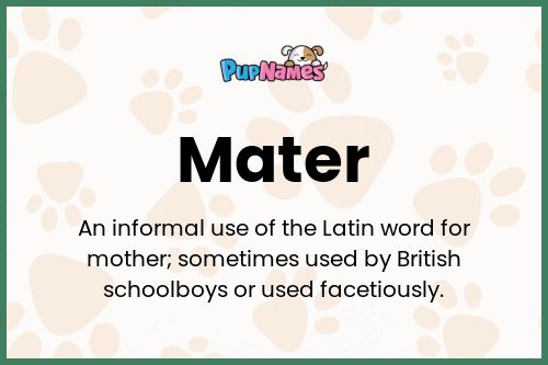 Mater dog name meaning