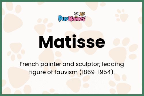 Matisse dog name meaning