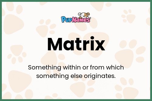 Matrix dog name meaning